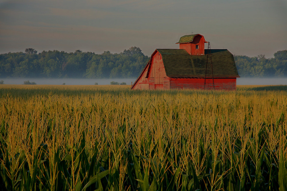 farm and crop insurance Fernandina Beach, FL